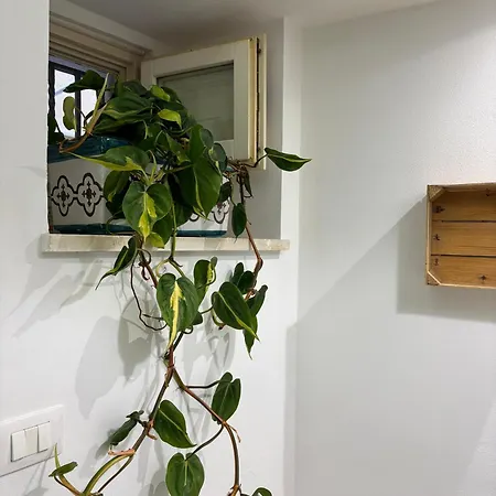 Dimora Resalibera アパート シラクーサ