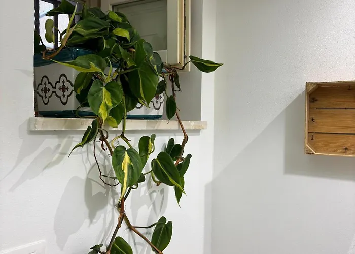 Dimora Resalibera Διαμέρισμα Συρακούσες